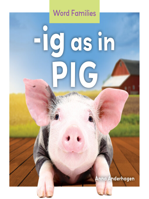 Cover of -ig as in Pig